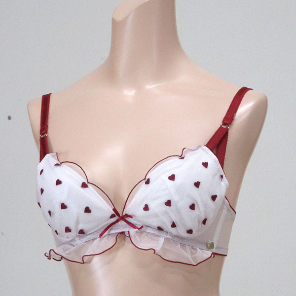 ブラジャー