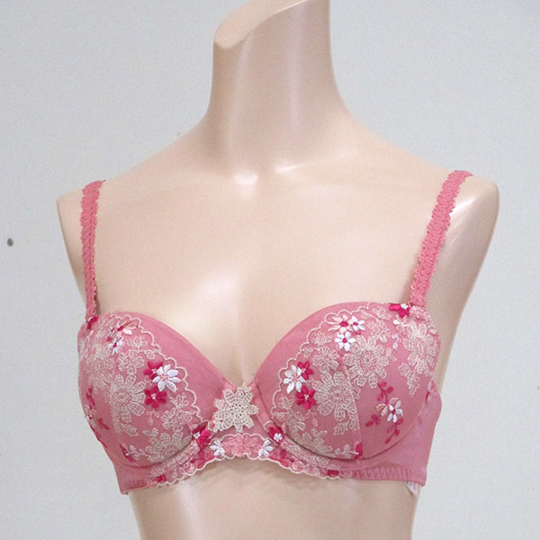 巨乳ブラジャー