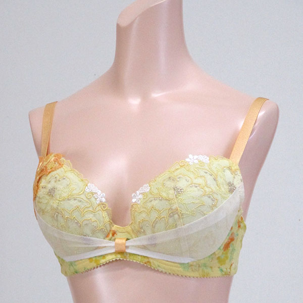 巨乳ブラジャー