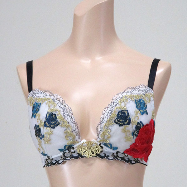 巨乳ブラジャー