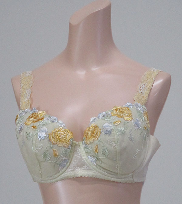 巨乳ブラジャー