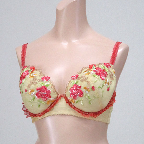 巨乳ブラジャー