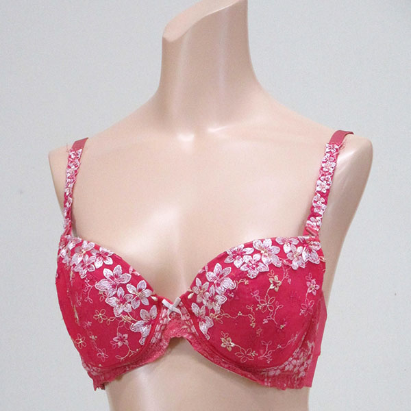 巨乳ブラジャー