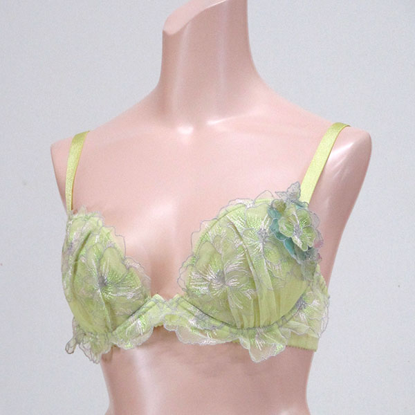 巨乳ブラジャー