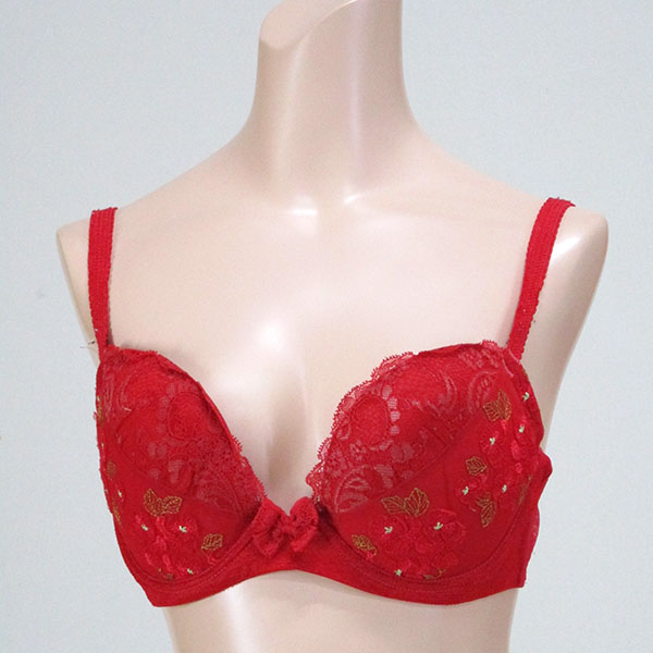 巨乳ブラジャー